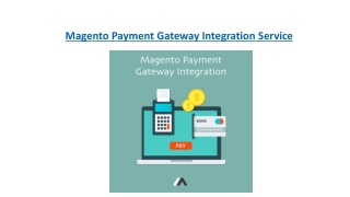 Magento Payment Gateway Integration Service