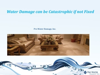 Water Damage can be Catastrophic if not Fixed