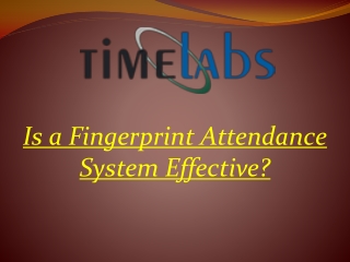 Is a Fingerprint Attendance System Effective?