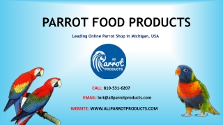 Buy Parrot Food Online – All Parrot Products