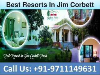 Best Resorts In Jim Corbett