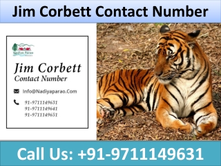 Jim Corbett Contact Number