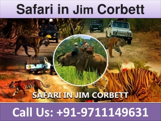 Safari in Jim Corbett