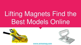 Lifting Magnets Find the Best Models Online