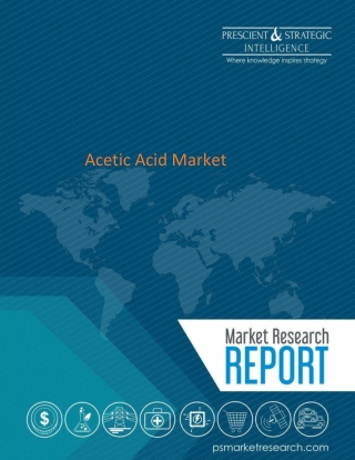 Acetic Acid Market : Global Market Size, Share, Development, Growth, and Demand Forecast, 2014–2024