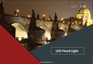 Environmental friendly LED Flood Lights