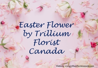 Easter Flowers by Trillium Florist, Inc