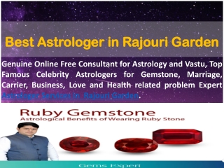 Best Astrologer in Rajouri Garden