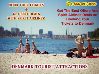 Get the best offers and Spirit Airlines Deals on booking your tickets to Denmark