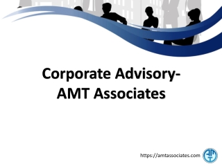 Corporate Advisory- AMT Associates