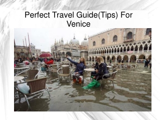 All About Venice