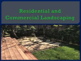 Residential and Commercial Landscaping