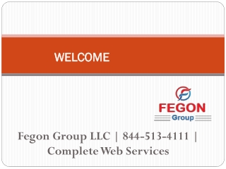 Fegon Group LLC | 844-513-4111 | Complete Web Services