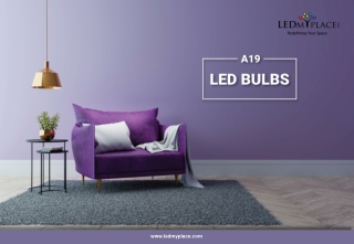 A19 LED Bulbs