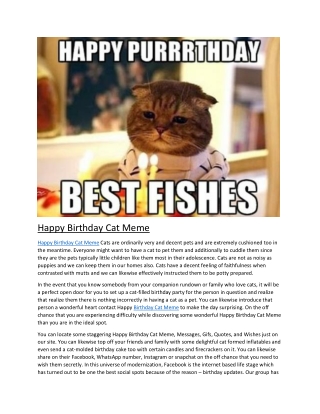 Happy Birthday Cat Meme