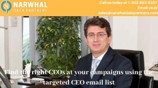 Find the right CEOs at your campaigns using the targeted CEO email list