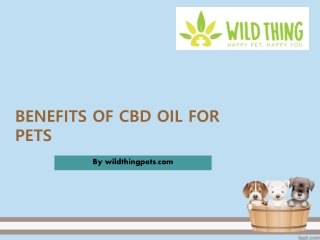 BENEFITS OF CBD OIL FOR PETS