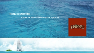 Honu Charters- Cruise the Effluent Waterways in Jupiter, FL