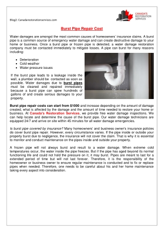 Burst Pipe Repair Cost