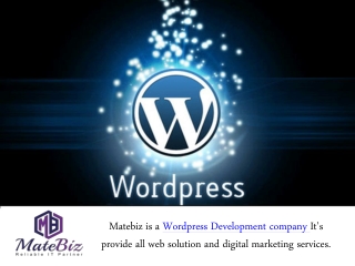 Benefits of working With a professional WordPress Development Company