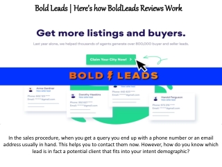 Here’s how BoldLeads Reviews Work