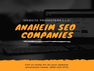 SEO Experts in Anaheim - Websitepromoters.com