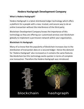 Hedera Hashgraph Development Company