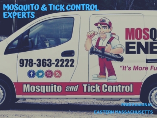 Mosquito and Tick Experts Eastern Massachusetts