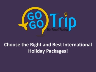 Choose the Right and Best International Holiday Packages!