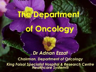 The Department of Oncology