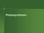 Photosynthesis