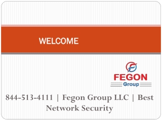 844-513-4111 | Fegon Group LLC | Best Network Security