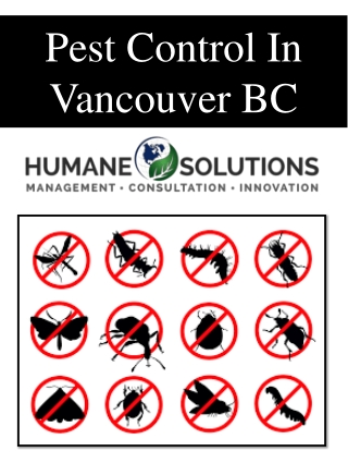 Pest Control In Vancouver BC