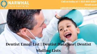 Dentist Email List | Dentist Database| Dentist Mailing Lists