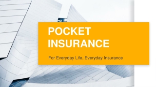 Pocket Insurance - For Everyday Life, Everyday Insurance