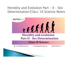 Heredity and Evolution Part – II – Sex Determination|Class 10 Science Notes
