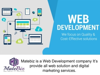 Why We Choose A Web Development Company - Matebiz India