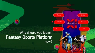 Why should you launch Fantasy Cricket Platform now?