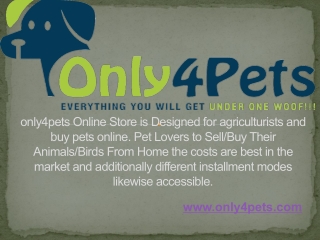 Adopt Pets