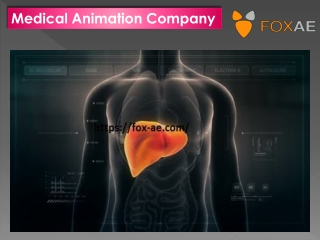 Medical Animation Company