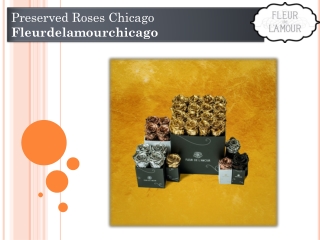 Preserved Roses Chicago