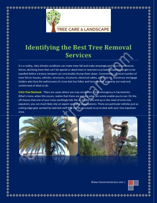 Best tree removal services in sacramento at cisnerostreecare.com