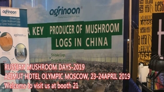 Welcome to Agrinoon Mushroom Spawn Supplier