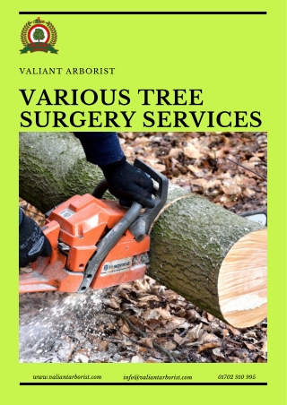 Various Tree Surgery Services Provided by Valiant Arborist