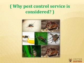 Why to consider pest control services?