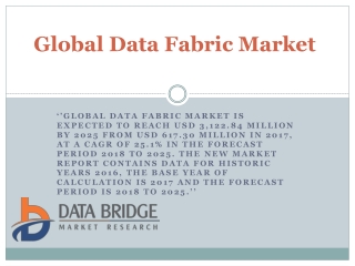 Global Data Fabric Market – Industry Trends and Forecast to 2025