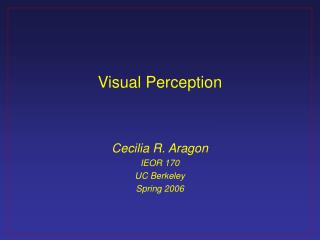 Visual Perception