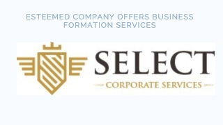 Esteemed Company Offers Business Formation Services