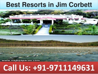 Best Resorts in Jim Corbett