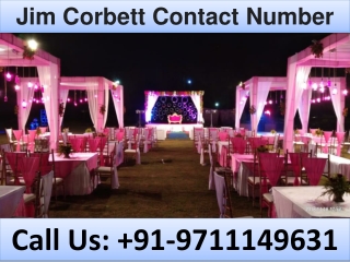 Jim Corbett Contact Number